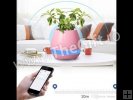 Suport pentru flori Smart cu Bluetooth, LED si Touch