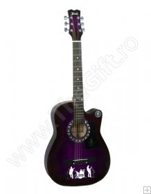 Chitara acustica Jervis