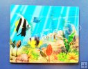 Mouse pad lenticular 3D