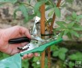 Aparat pentru legat vita de vie, 10 000 de capse, 20 role banda