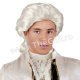 Peruca de petrecere, lord Peruca de petrecere, lord