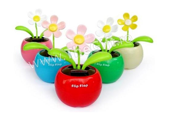 Flip Flap, floare dansatoare
