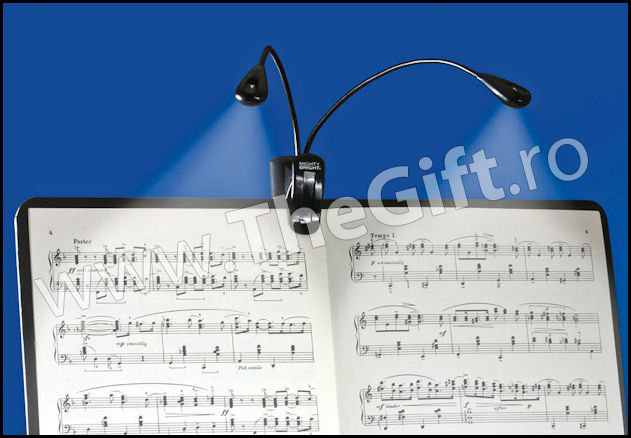 Lampa dubla cu LED-uri pentru pupitrul de note, computer, carti