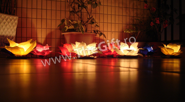 Lampion de apa - Apasa pe imagine pentru inchidere