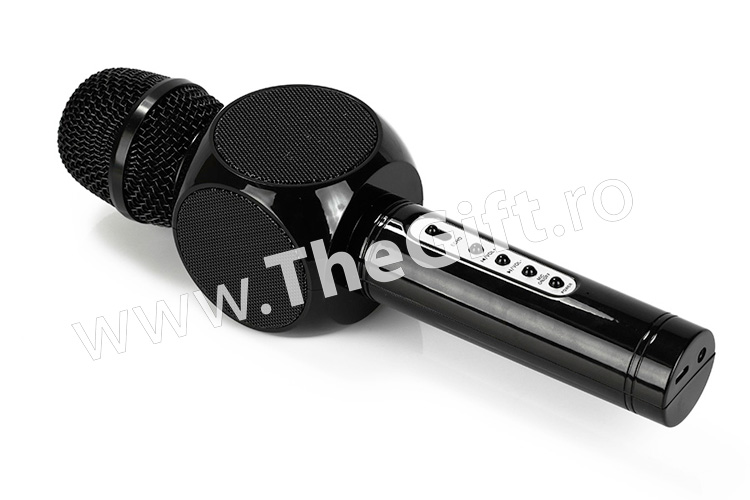 Microfon profesional wireless, cu boxe si Bluetooth, putere 10 W - Apasa pe imagine pentru inchidere