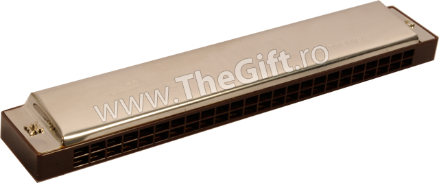 Muzicuta cromata Swan Harmonica