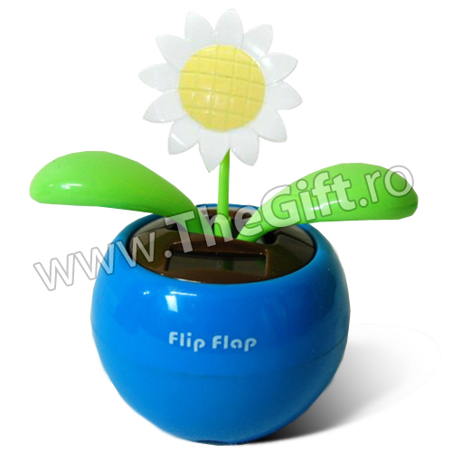 Flip Flap, floarea dansatoare Sunflower