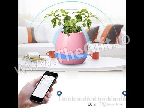 Suport pentru flori Smart cu Bluetooth, LED si Touch - Apasa pe imagine pentru inchidere