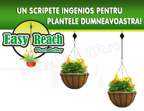 Scripete ingenios pentru agatarea plantelor