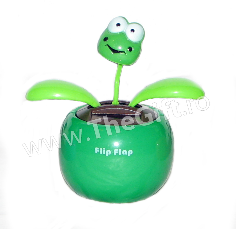 Flip-flap, floare dansatoare Broscuta