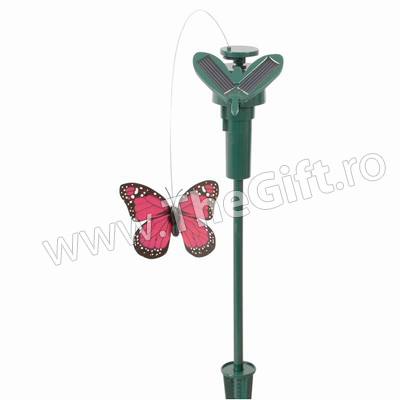 Fluturi solari ecologici