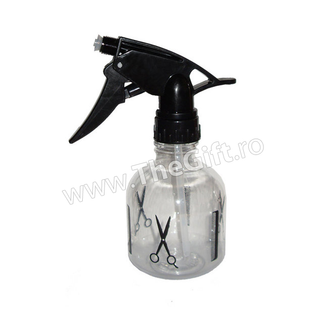 Pulverizator coafor, mic