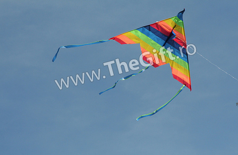 Zmeu Disney, mediu